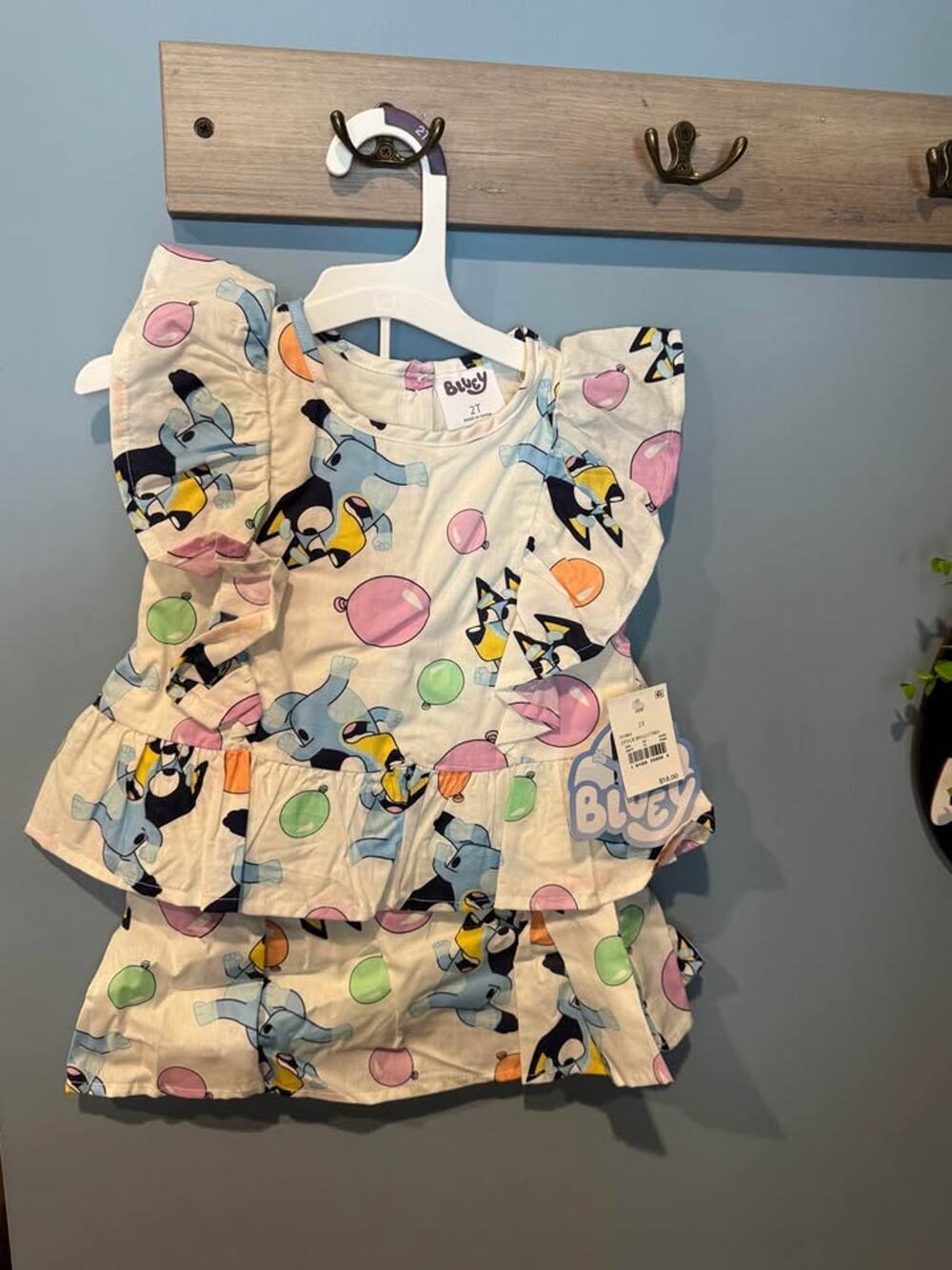 Bluey Toddler Girls' Ruffle Skort Set Size 2T